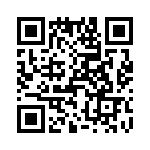 T38107-13-0 QRCode