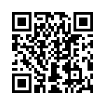 T38110-04-0 QRCode