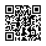 T38111-02-0 QRCode