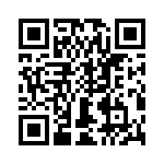 T38113-05-0 QRCode