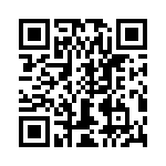 T38127-13-0 QRCode