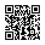 T38130-01-0 QRCode