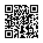 T38130-04-0 QRCode