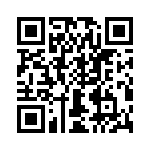 T38132-02-0 QRCode