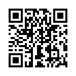 T38133-22-0 QRCode