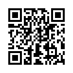 T38137-03-0 QRCode