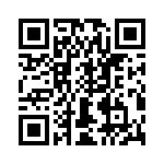 T38137-12-0 QRCode