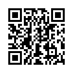 T38155-13-0 QRCode