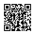 T38160-20-0 QRCode