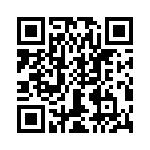 T38161-03-0 QRCode