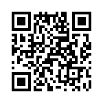 T38168-09-0 QRCode