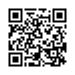 T38215-04-0 QRCode