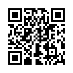 T38311-04-0 QRCode