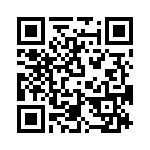 T38313-01-0 QRCode