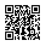 T38313-03-0 QRCode