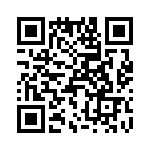 T38313-22-0 QRCode