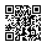 T38328-04-0 QRCode