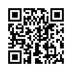 T38330-09-0 QRCode