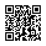 T38361-02-0 QRCode