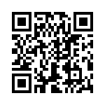 T38368-09-0 QRCode