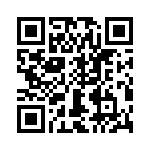 T38411-10-0 QRCode