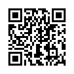 T38411-12-0 QRCode