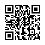 T38411-25-0 QRCode