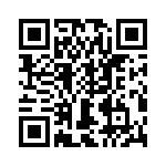 T38413-24-0 QRCode