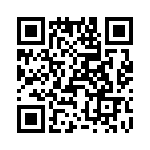 T38425-10-0 QRCode