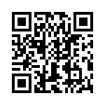 T38427-23-0 QRCode