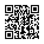 T38430-13-0 QRCode