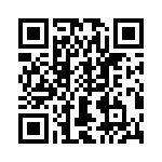 T38432-22-0 QRCode