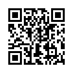 T38432-24-0 QRCode