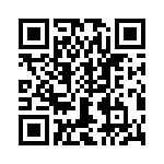 T38448-24-0 QRCode