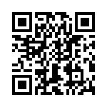 T38462-02-0 QRCode