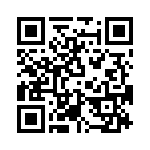 T38462-03-0 QRCode