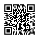 T38513-02-0 QRCode