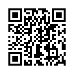 T38513-12-0 QRCode