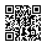 T38513-24-0 QRCode