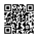 T38522-04-0 QRCode