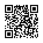 T38522-12-0 QRCode