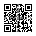 T38530-02-0 QRCode