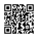 T38531-02-0 QRCode