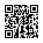 T38533-20-0 QRCode