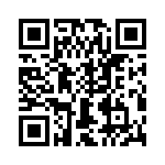 T38537-09-0 QRCode