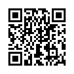 T38538-03-0 QRCode