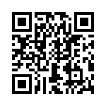 T38538-12-0 QRCode