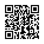 T38538-13-0 QRCode