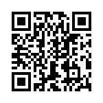 T38560-13-0 QRCode