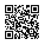 T38565-24-0 QRCode